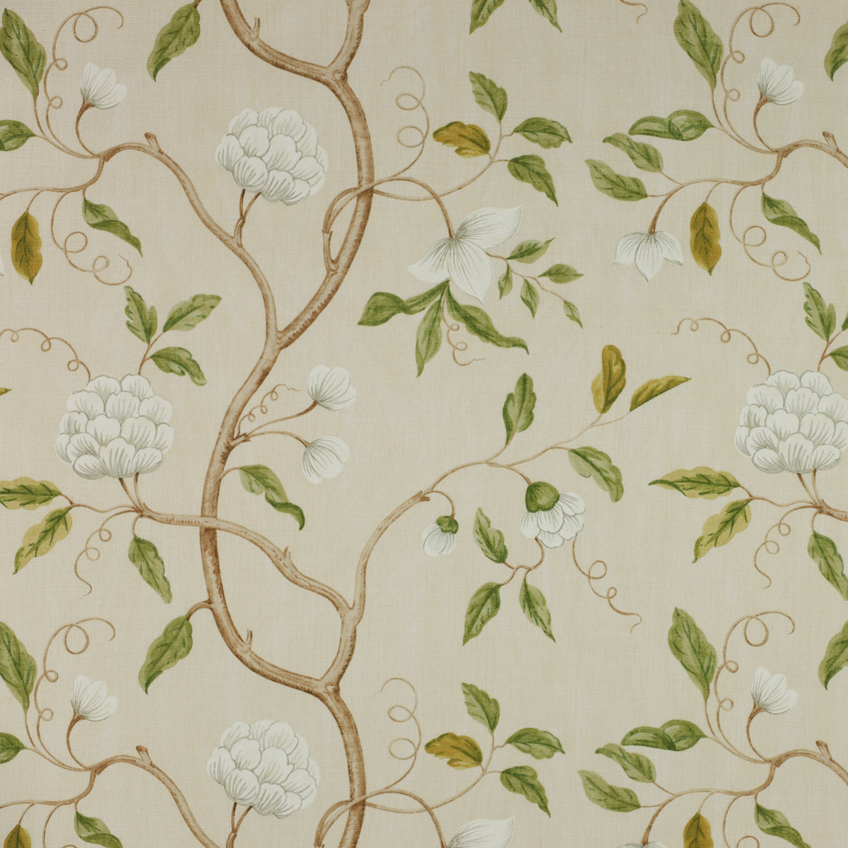 Colefax & Fowler Snow Tree Fabric – Mintwood Home